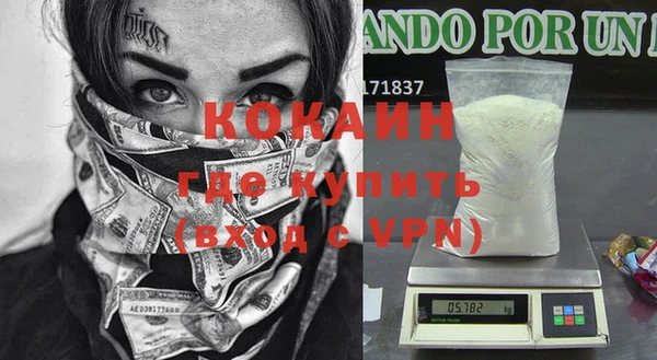 дживик Алексин